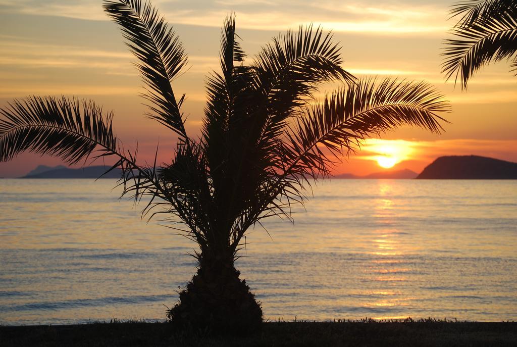 Club Blue White All Inclusive Turgutreis Eksteriør billede