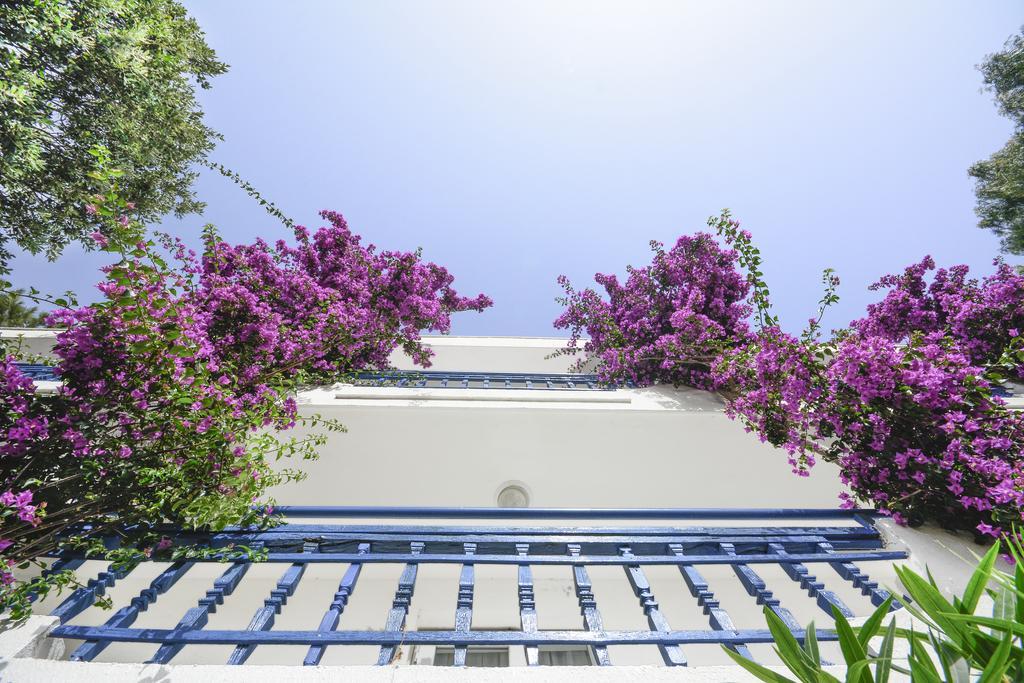 Club Blue White All Inclusive Turgutreis Eksteriør billede